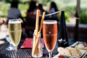 索尼中国影像大使 索尼合作摄影师