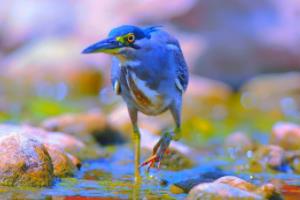 拍儿童照需要注意什么 儿童拍摄图片