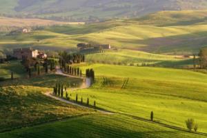 手机摄影的好处跟坏处,手机摄影的利与弊,便捷与局限的全面解析