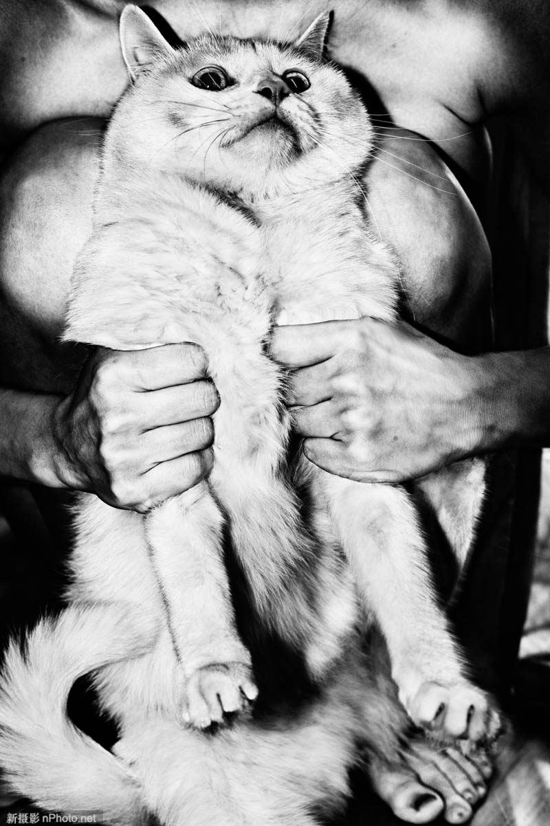 莫斯科相机 莫斯科全景