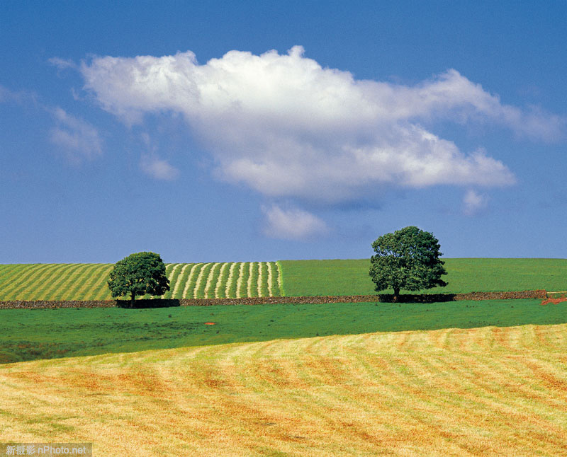 摄影师richard cole摄影师