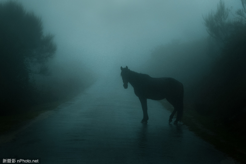 黑暗摄影师视频 摄影师nice图2