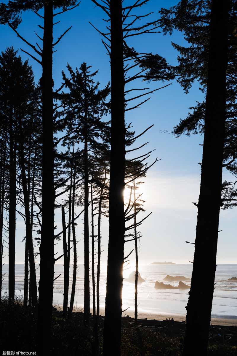 尼康z7. 尼康z7ii百度百科图3