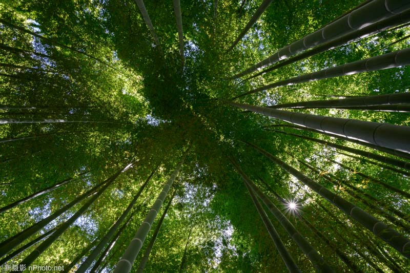 尼康z7. 尼康z7ii百度百科