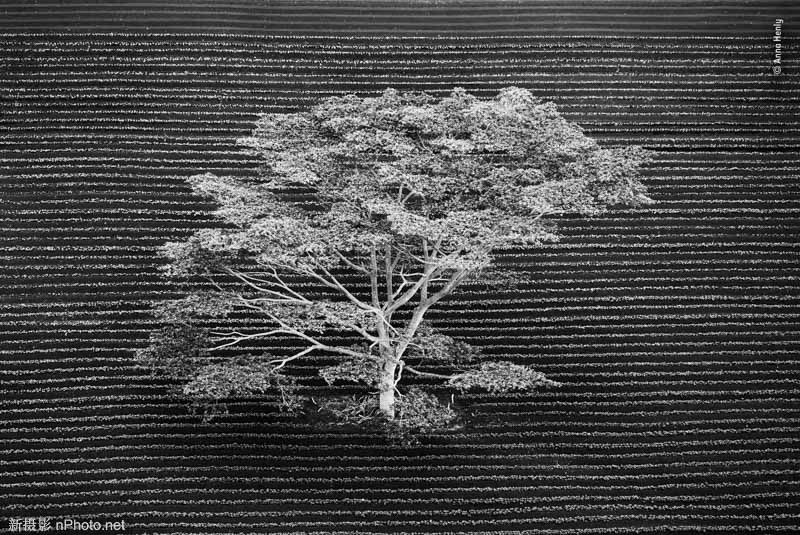 2020野生动物摄影大赛 2021年野生动物摄影比赛图1