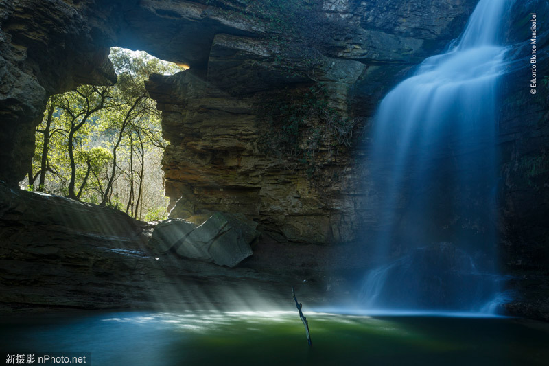 2020野生动物摄影大赛 2021年野生动物摄影比赛