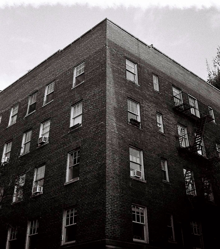 lomo黑白胶卷 vibe黑白胶卷