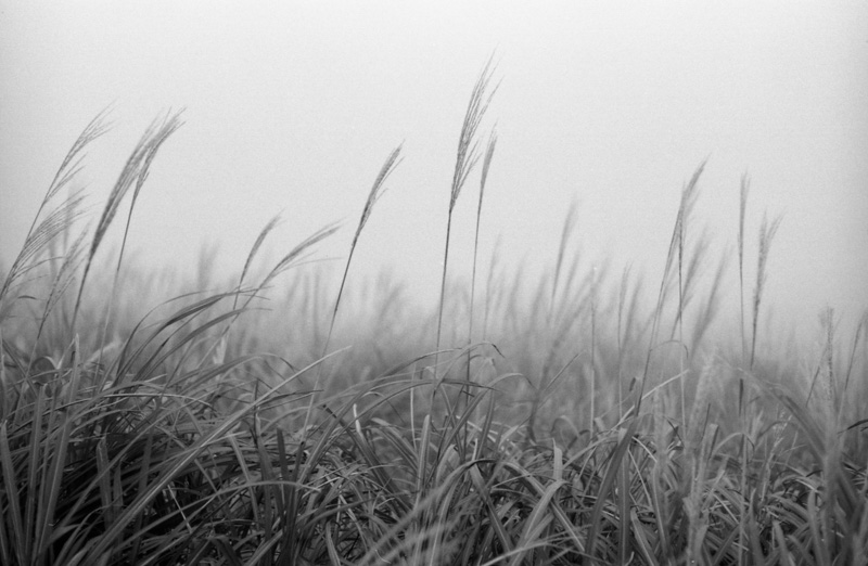 120画幅大小 120画幅换算