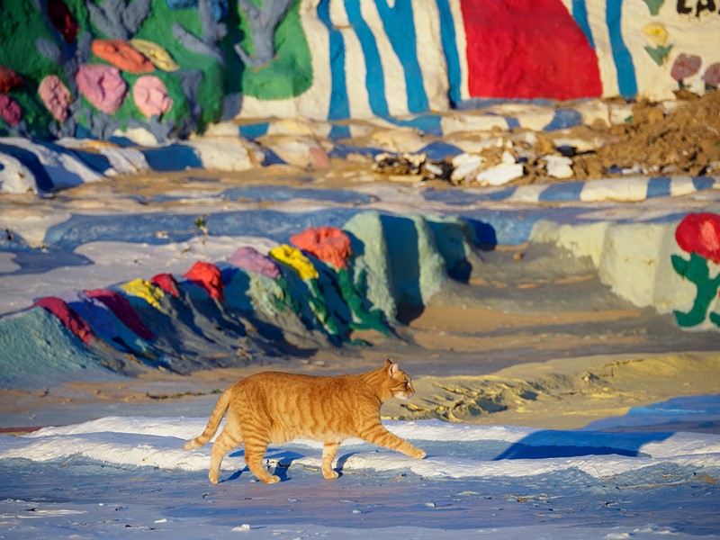 摄影培训学校 摄影师证怎么考_16