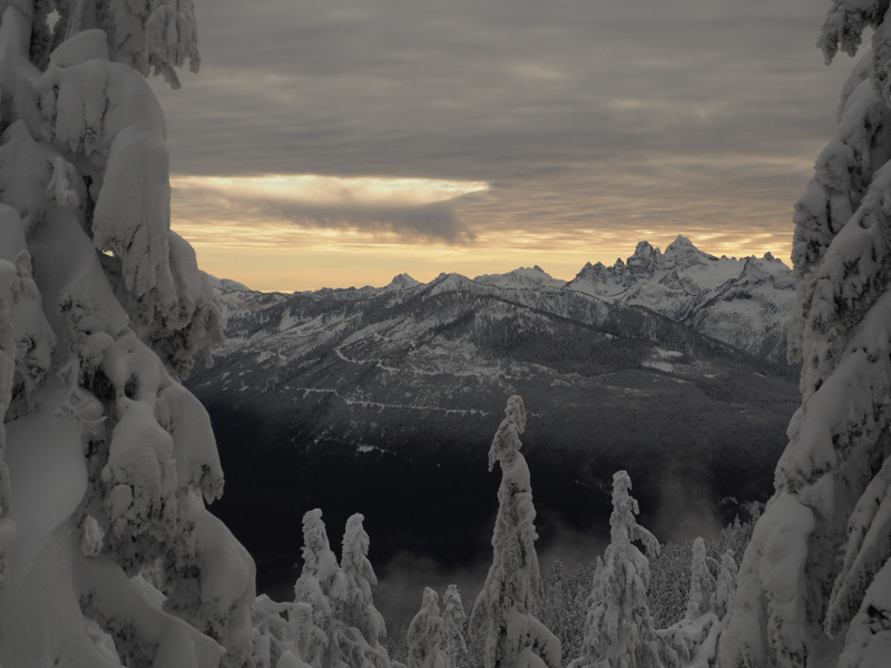 奥林巴斯镜头12-100 奥林巴斯12—200mm镜头