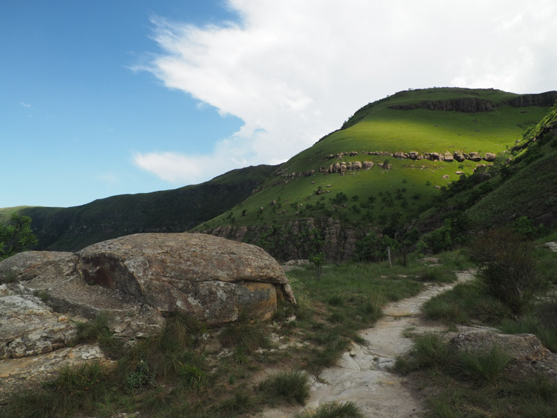 奥林巴斯镜头12-100 奥林巴斯12—200mm镜头