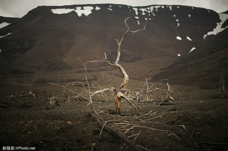 地球上最北端的城市 地球上最北的城镇是什么
