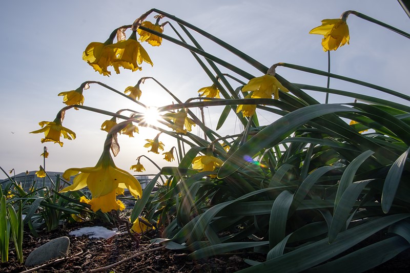 富士xf16—80镜头 富士镜头16-80价格