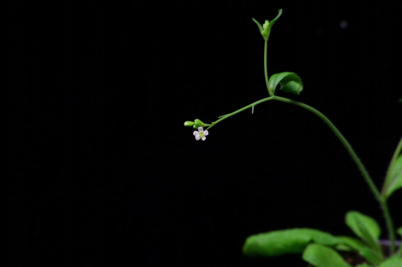 摄影类壁纸 摄影比赛海报背景素材图2