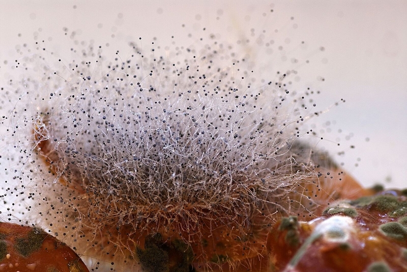 摄影类壁纸 摄影比赛海报背景素材