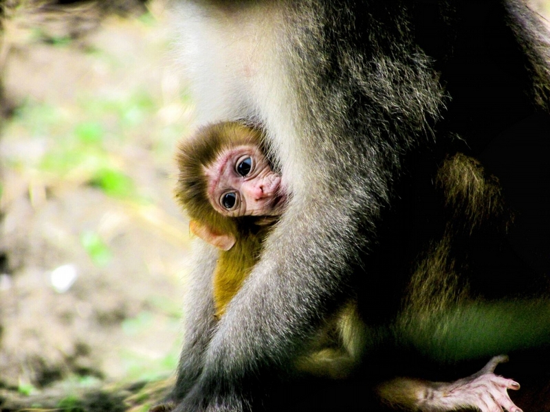 摄影类壁纸 摄影比赛海报背景素材