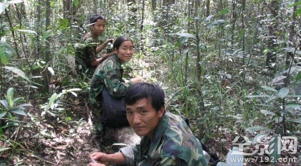 大象之王萨陶有多重 萨淘大象