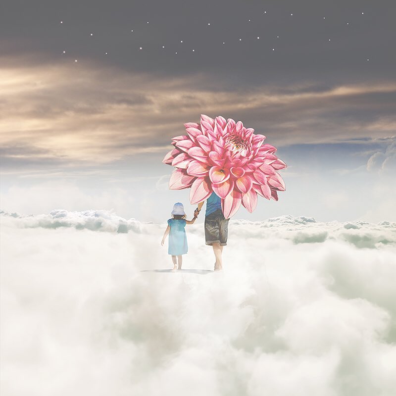 用手机拍照真实吗 用手机拍照的摄影师