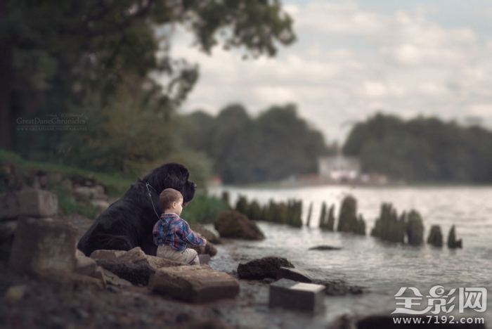 摄影师记录宝宝与宠物的完美互动视频 与宠物照相儿童摄影