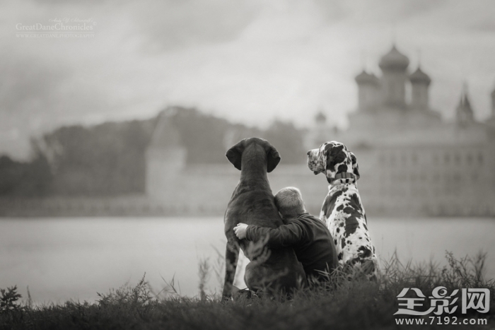 摄影师记录宝宝与宠物的完美互动视频 与宠物照相儿童摄影