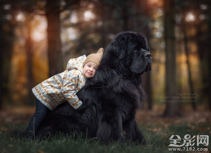 摄影师记录宝宝与宠物的完美互动视频 与宠物照相儿童摄影