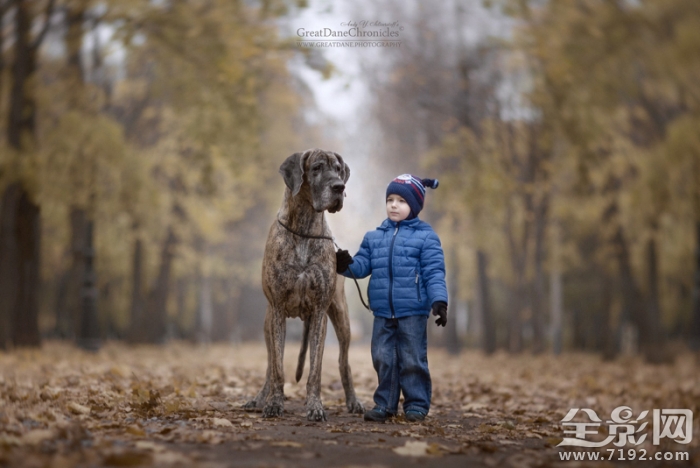 摄影师记录宝宝与宠物的完美互动视频 与宠物照相儿童摄影