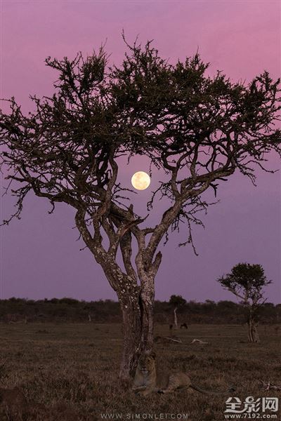 风光-风景摄影作品 风光 摄影图2