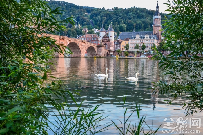 海德堡的春夏秋冬怎么样 海德堡的冬天