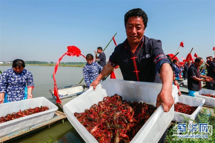 杭州摄影活动 杭州摄影展2020图3