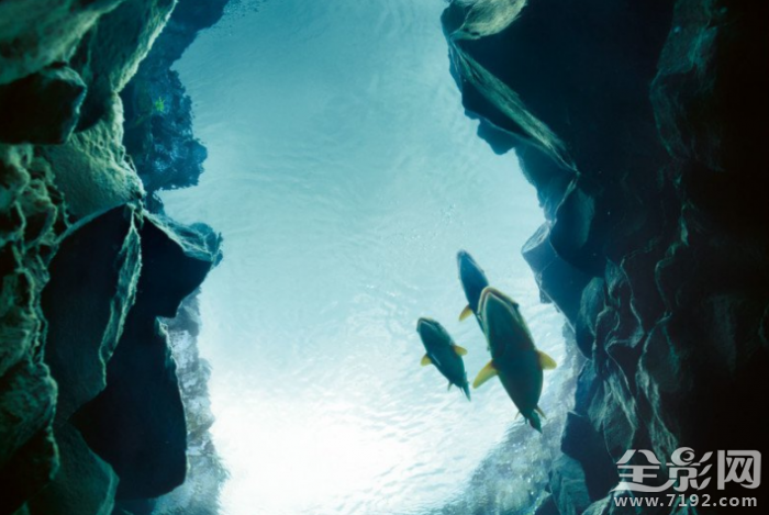 从地球的视角看世界是怎样的 从地球的视角看地球