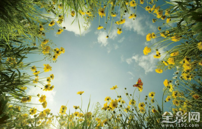 从地球的视角看世界是怎样的 从地球的视角看地球