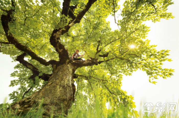 从地球的视角看世界是怎样的 从地球的视角看地球