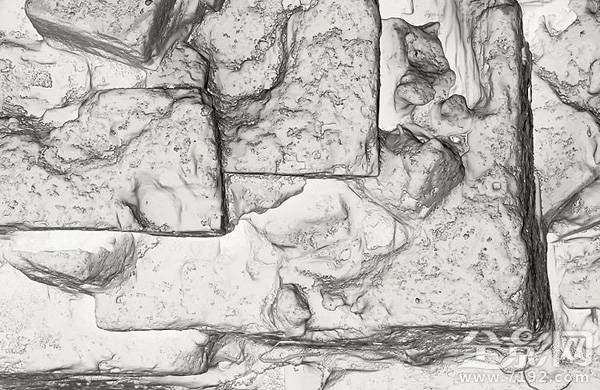 显微摄影术 显微摄影照片图2