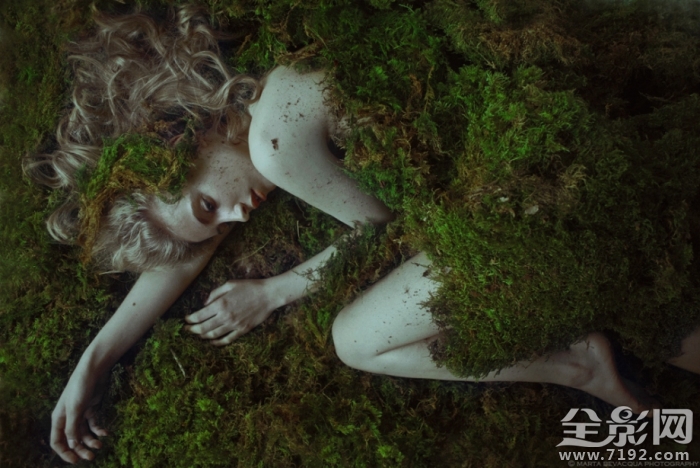 森林之语是什么意思啊 森林之语卫生巾图2