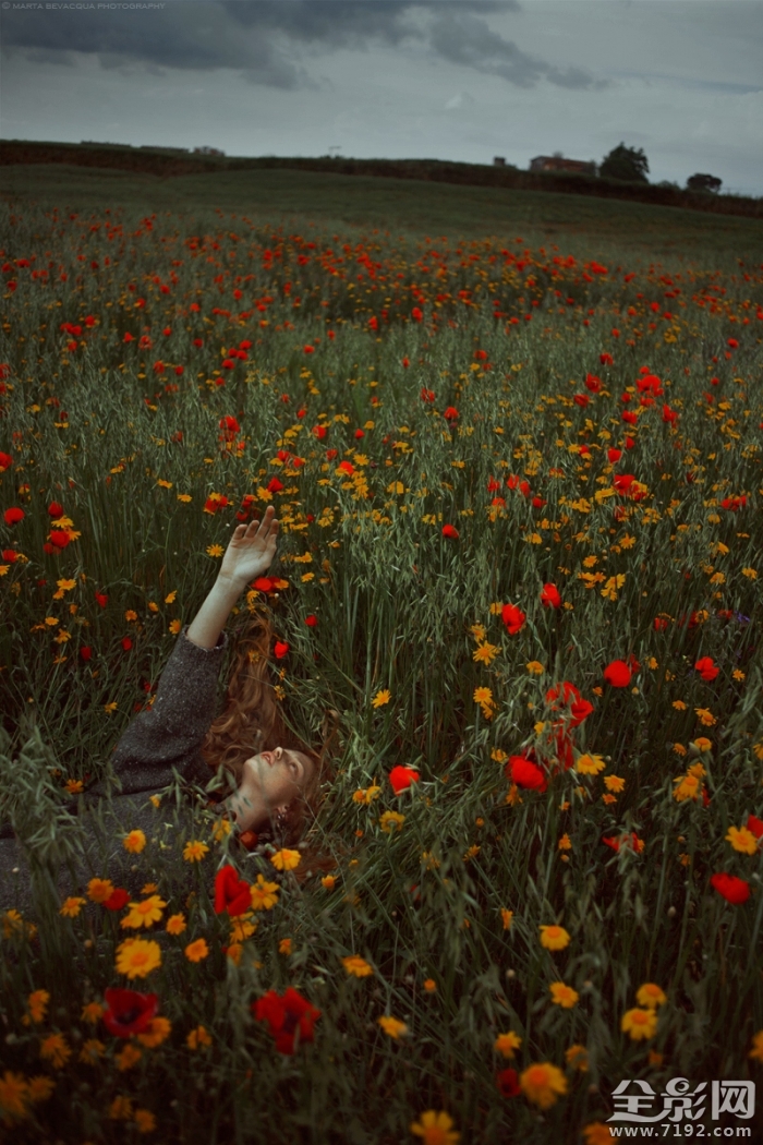 森林之语是什么意思啊 森林之语卫生巾图3