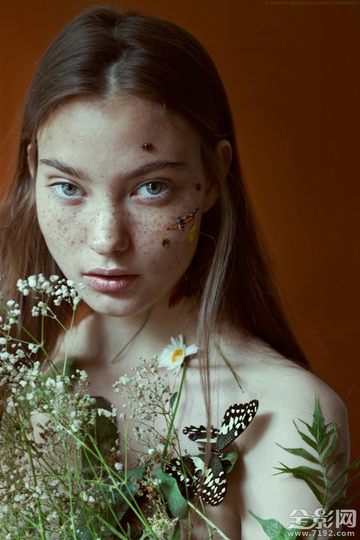 森林之语是什么意思啊 森林之语卫生巾