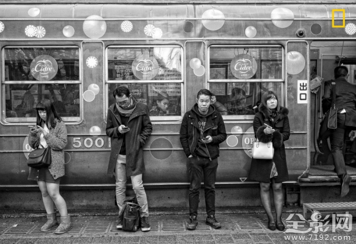 美国《国家地理》全球摄影大赛 2020年美国国家地理摄影大赛报名