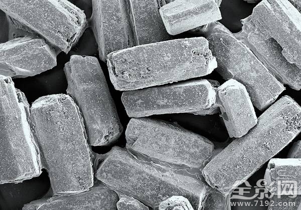 显微摄影术 显微摄影照片