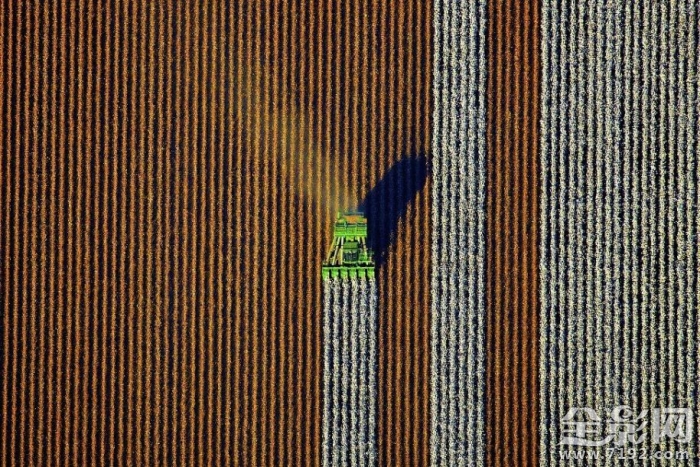 澳大利亚的田野照 澳大利亚农业视频图1