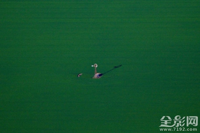 澳大利亚的田野照 澳大利亚农业视频图2
