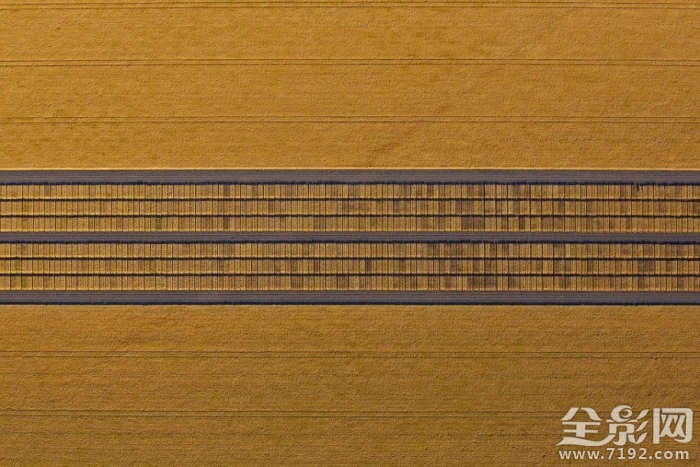 澳大利亚的田野照 澳大利亚农业视频图3