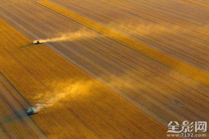 澳大利亚的田野照 澳大利亚农业视频