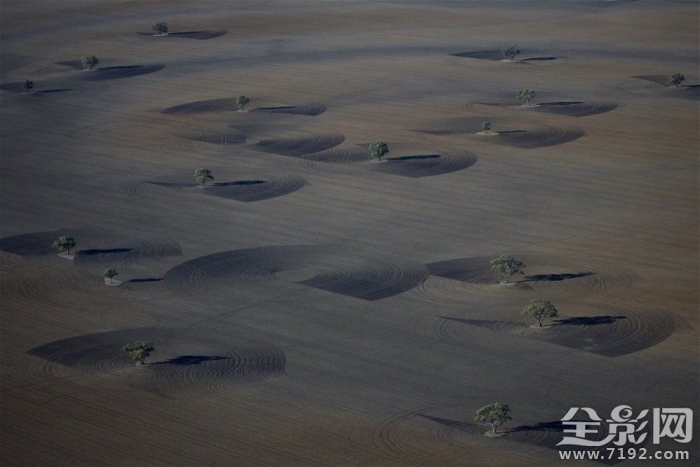 澳大利亚的田野照 澳大利亚农业视频