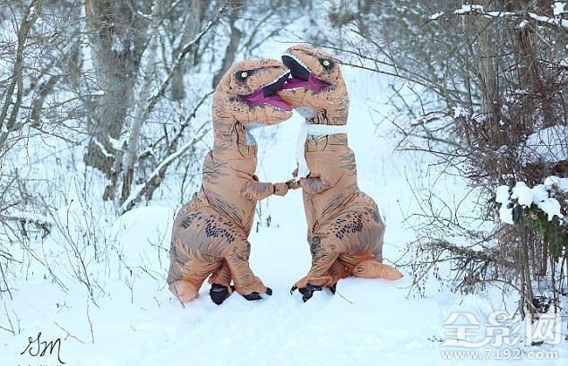恐龙婚礼 恐龙配偶图3