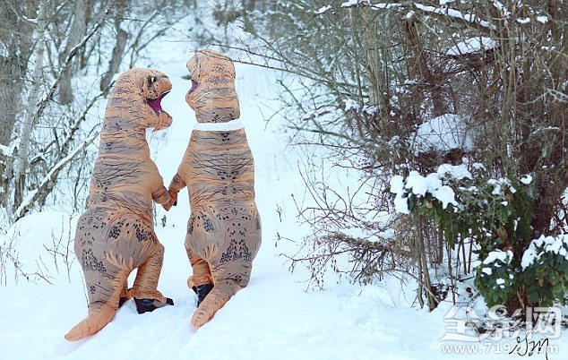 恐龙婚礼 恐龙配偶图2