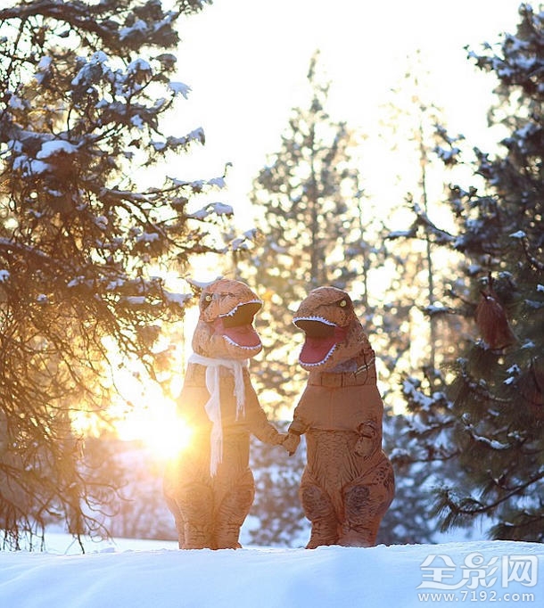恐龙婚礼 恐龙配偶
