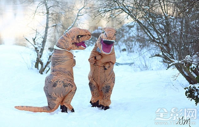 恐龙婚礼 恐龙配偶