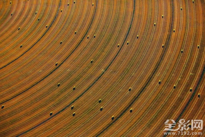 澳大利亚的田野照 澳大利亚农业视频