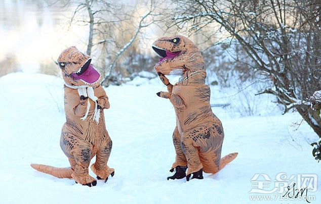 恐龙婚礼 恐龙配偶