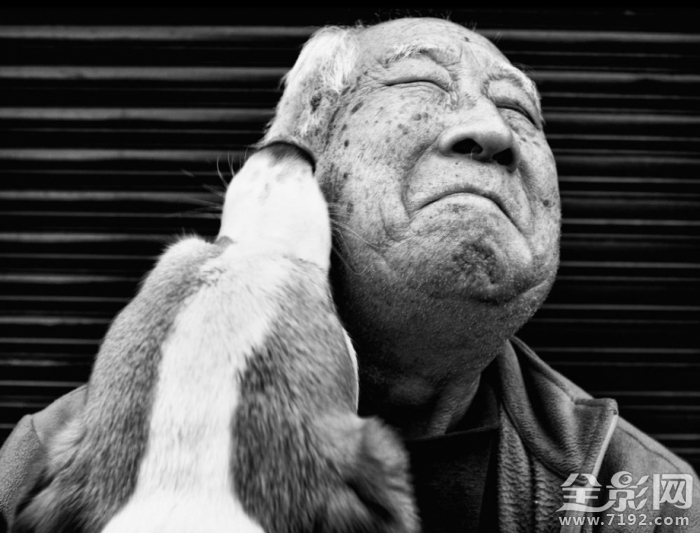 以独特的视角记录着城市角落发生的一切事件 以独特的视角写一篇游记